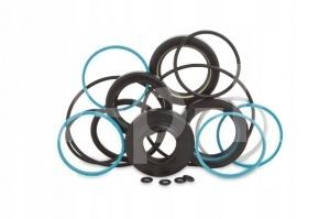 Ремкомплект уплотнений EVO2 129823 фото