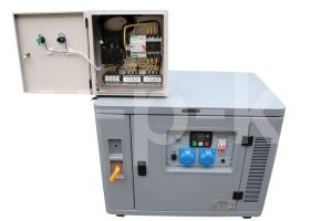 Дизельный генератор  LDG11000E стартер в кожухе с АВР