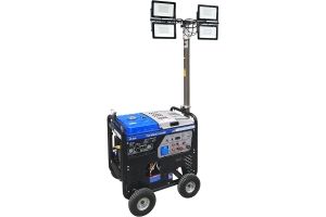 Бензиновый генератор ТСС WALGG 5.0/200E 027655 фото