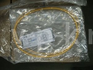 Сальник задний 10000-18400 фото