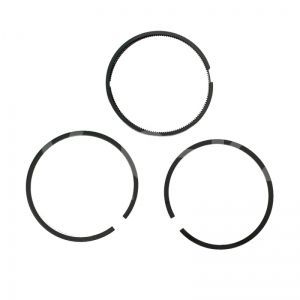 4080080000 Комплект поршневых колец высокого давления
