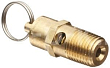 R 4251100202 Клапан предохранительный 3/8", 10 Bar для 50lh20a-2.2