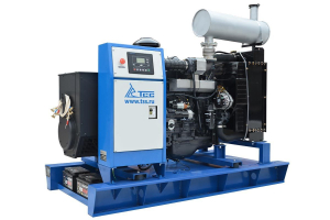 Дизельный генератор ТСС АД-50С-Т400-1РМ5 10747 фото