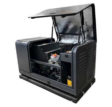 Газовый генератор  GM 10000