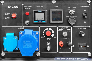 Бензиновый генератор ТСС GGW 6.0/250D-R 031170 фото