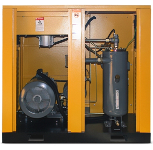 Винтовой компрессор Berg ВК-30Р-Е 16 (IP54) высокого давления фото